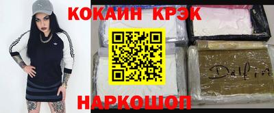 гашик Моздок