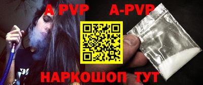 гашик Моздок