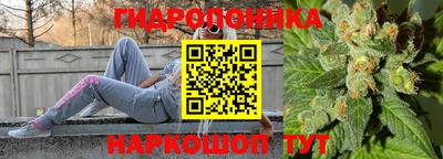 гашик Моздок