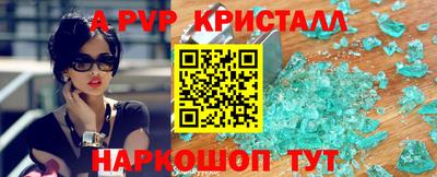 гашик Моздок
