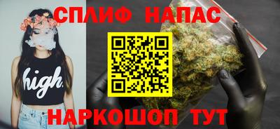 гашик Моздок