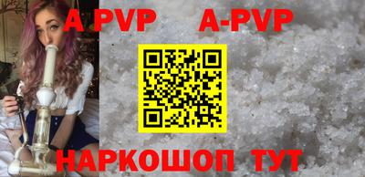 гашик Моздок