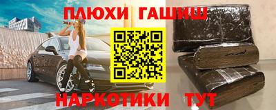 гашик Моздок